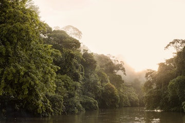 The San Juan River winds through dense rainforest of the Indio Maíz Biological Reserve.