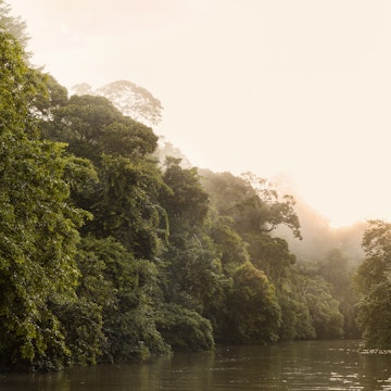 The San Juan River winds through dense rainforest of the Indio Maíz Biological Reserve.