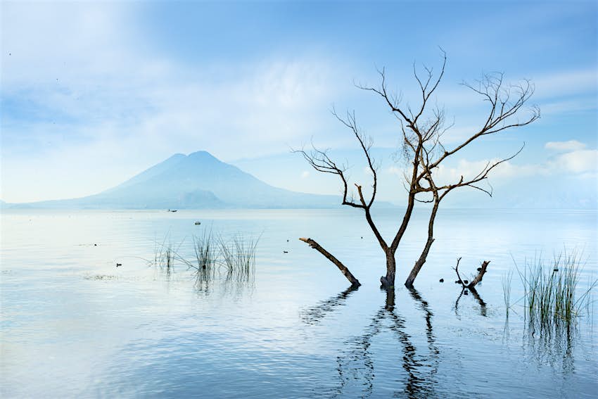 A massive lake with tree branches in the foreground and a peak in the distance