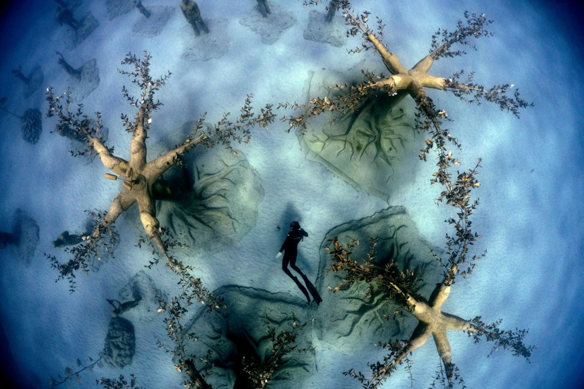 Cypriot freediver Angelos Savvas swims through the MUSAN underwater sculpture park