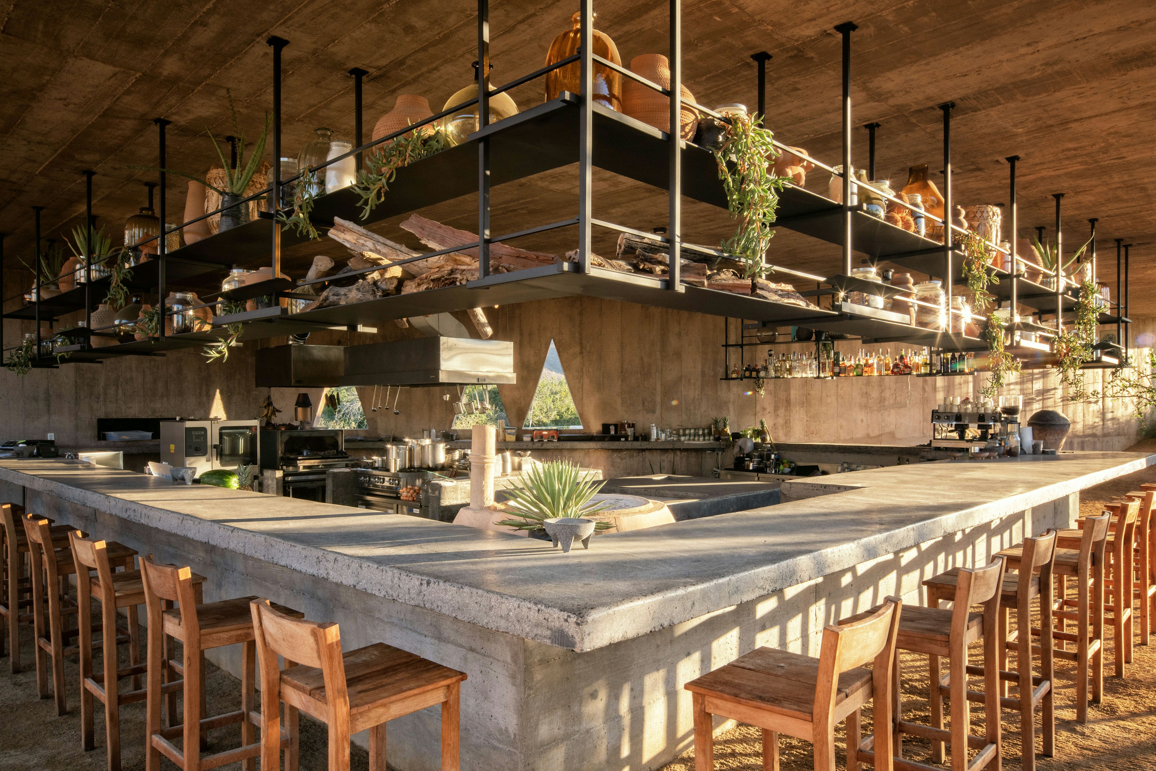 The rustic-chic bar at Paradero Todos Santos, Mexico