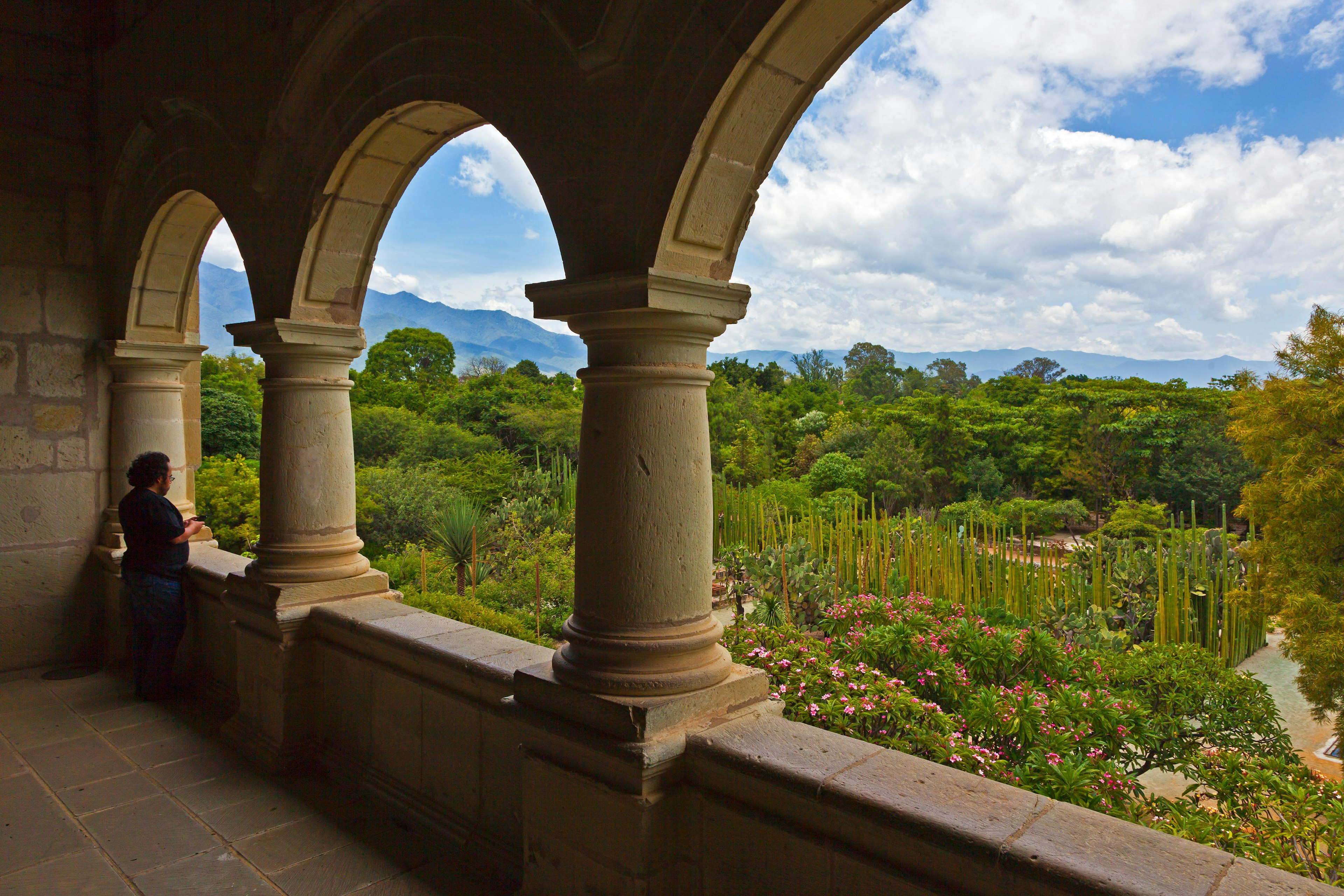 View of the BOTANICAL GARDEN from a balcony of the CULTURAL MUSEUM OF OAXACA or Museo de las Culturas de Oaxaca - MEXICO