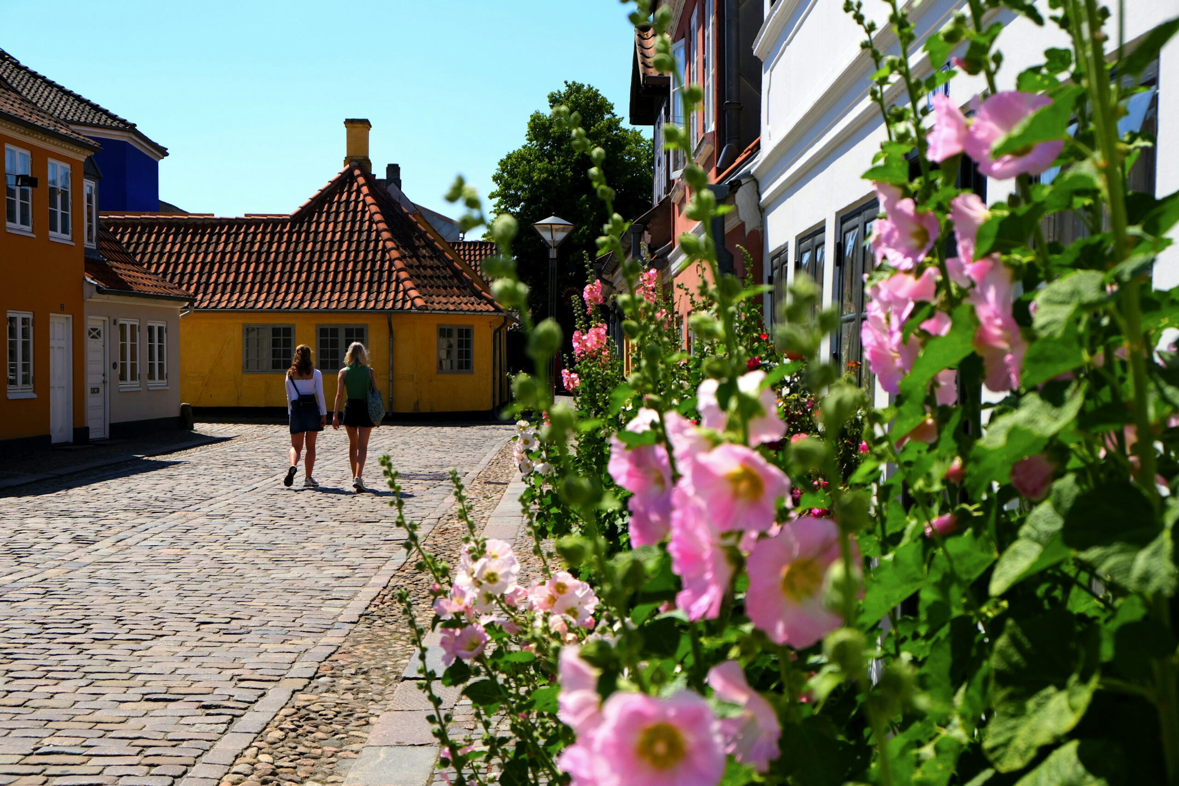 Odense, Hans Christian Andersen Museum.jpg