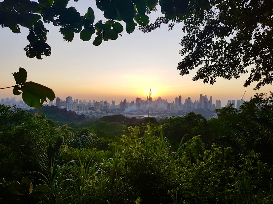 View of the skyline at sunset from the tropical rainforest of Parque Natural Metropolitano, Panama City, Panama, Central America