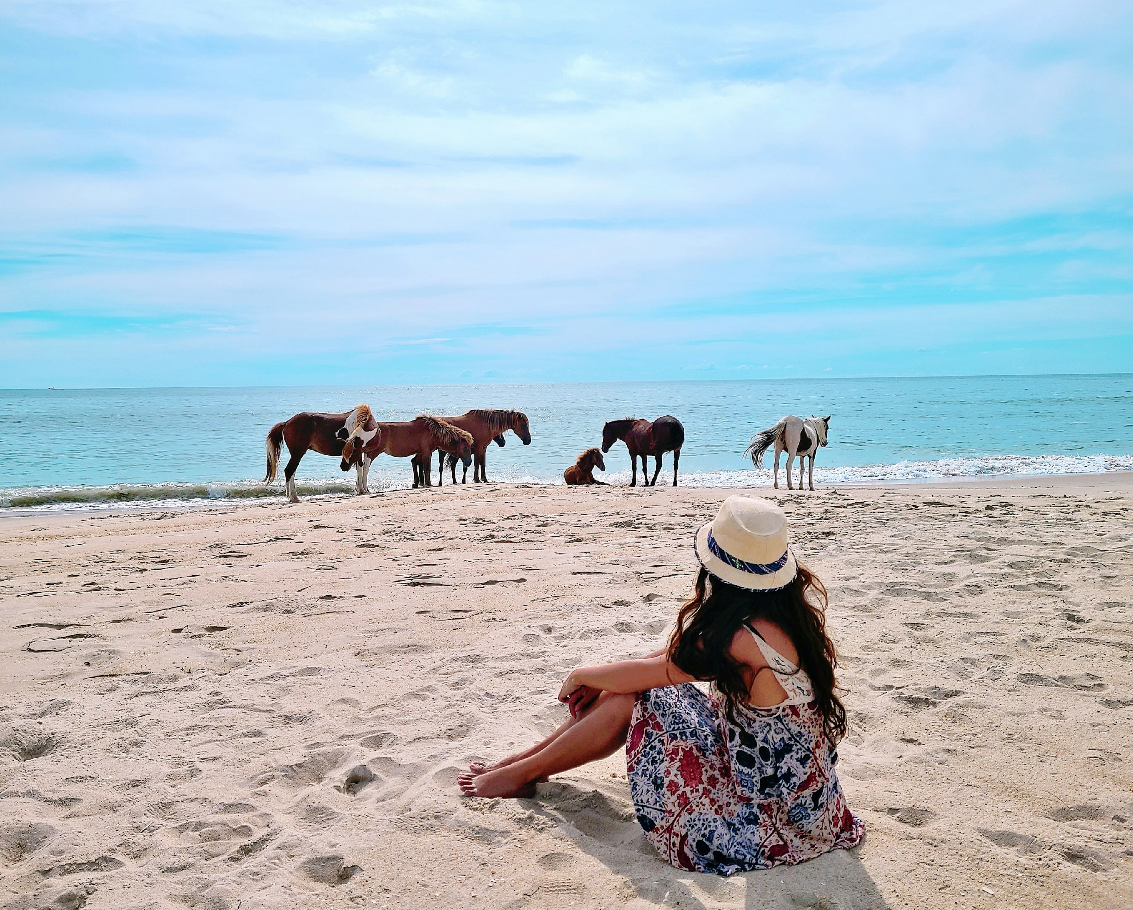 A woman watches wild horses on Assateague Island National Seashore