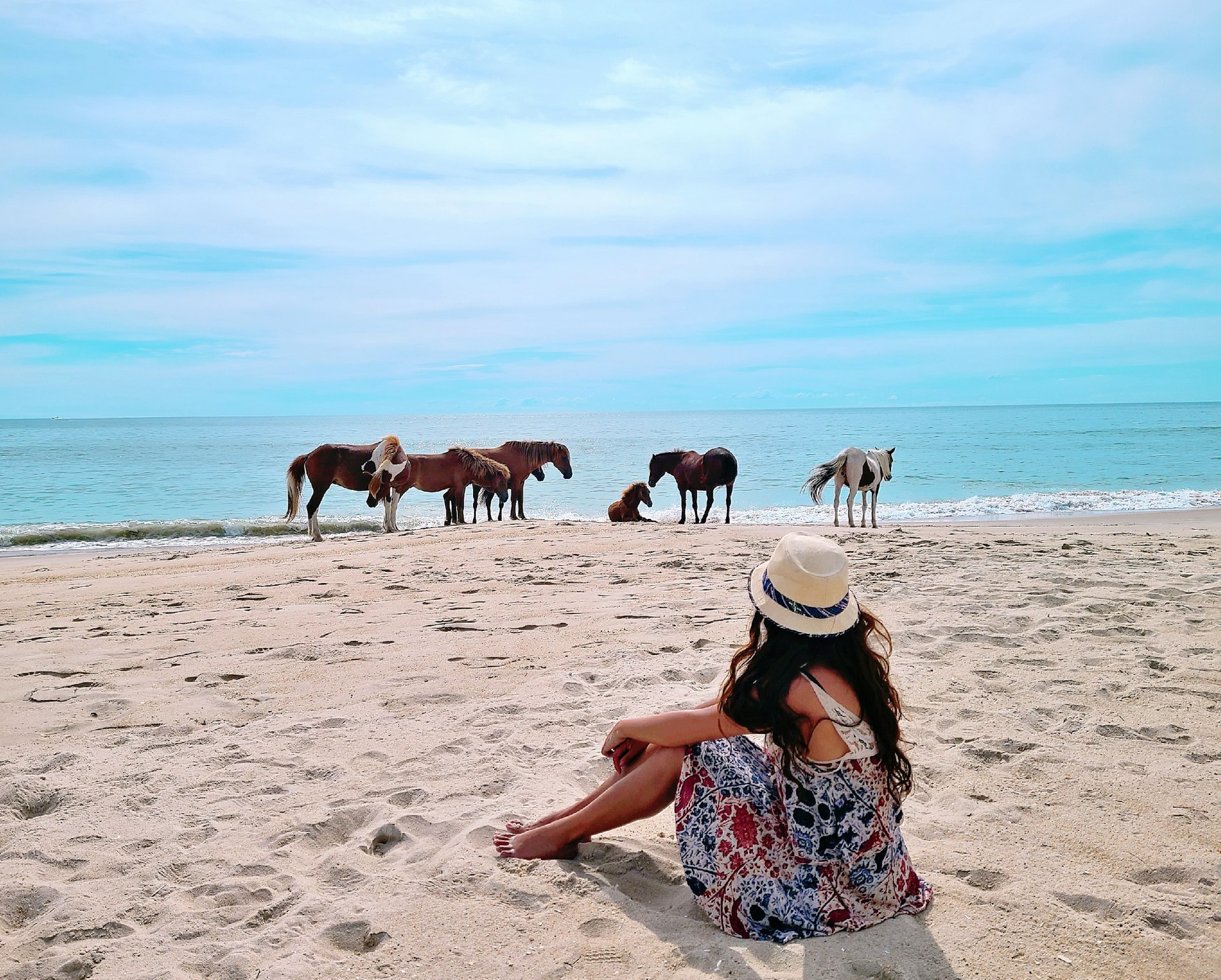 A woman watches wild horses on Assateague Island National Seashore 