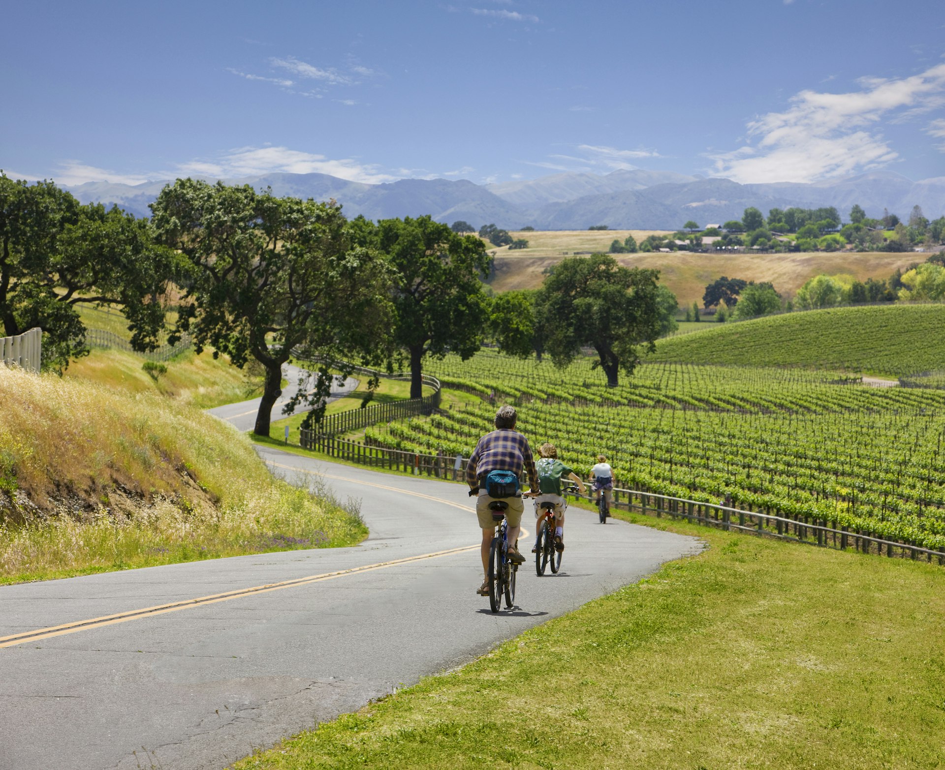 Three people ride bikes down a road through beautiful vineyards that stretch into the distance