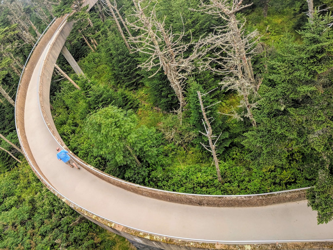 High Angle View Of Road Amidst Trees In Forest - stock photo
Photo taken in Gatlinburg, United States