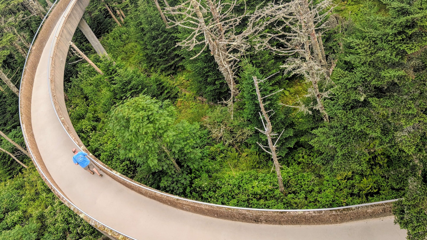 High Angle View Of Road Amidst Trees In Forest - stock photo
Photo taken in Gatlinburg, United States