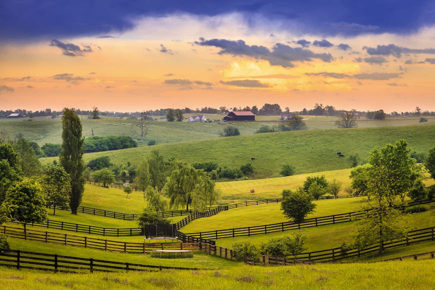 Tidig kvällsljus över hagar i Kentuckys Bluegrass-region
