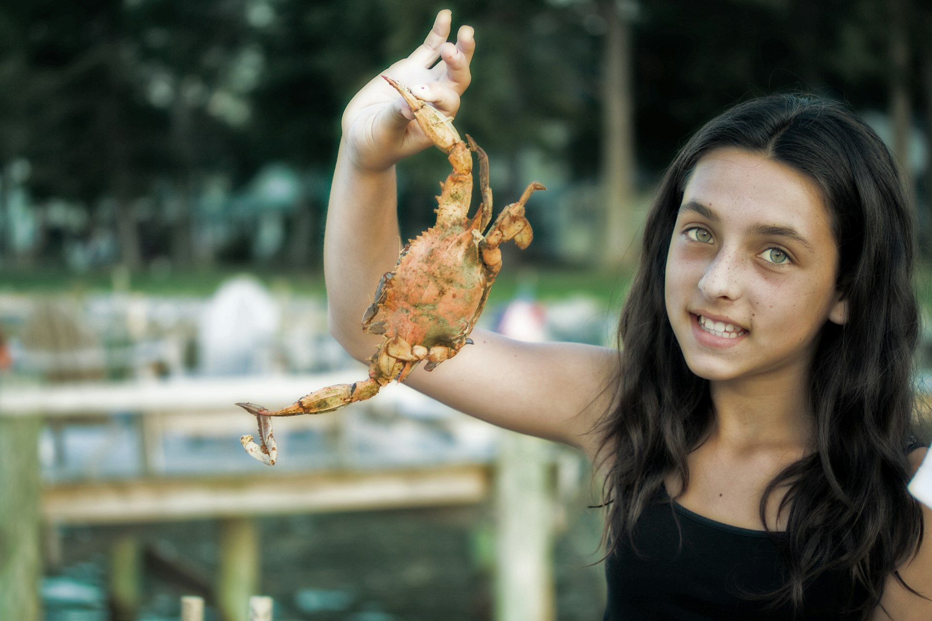Girl holding cooked delicious Maryland blue crab from Chesapeake Bay, Maryland, Mid-Atlantic, USA