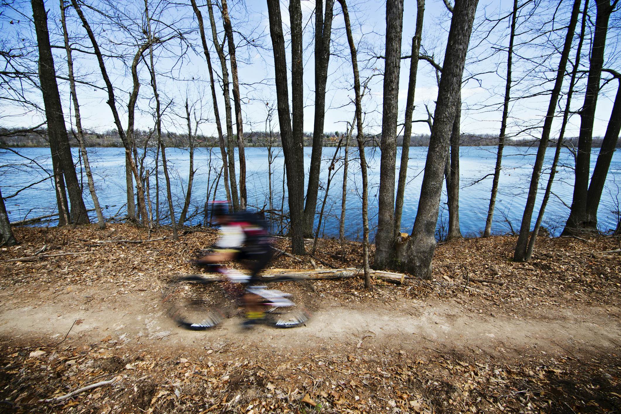 Escape to the Ozarks: Arkansas's Rocky Branch Recreation Area