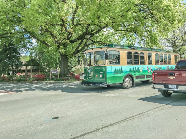 A green and brown Fun Time Trolley, painted with cartoon bears and trees on the side, under a tree by a trolley stop in Pigeon Forge, Tennessee, 