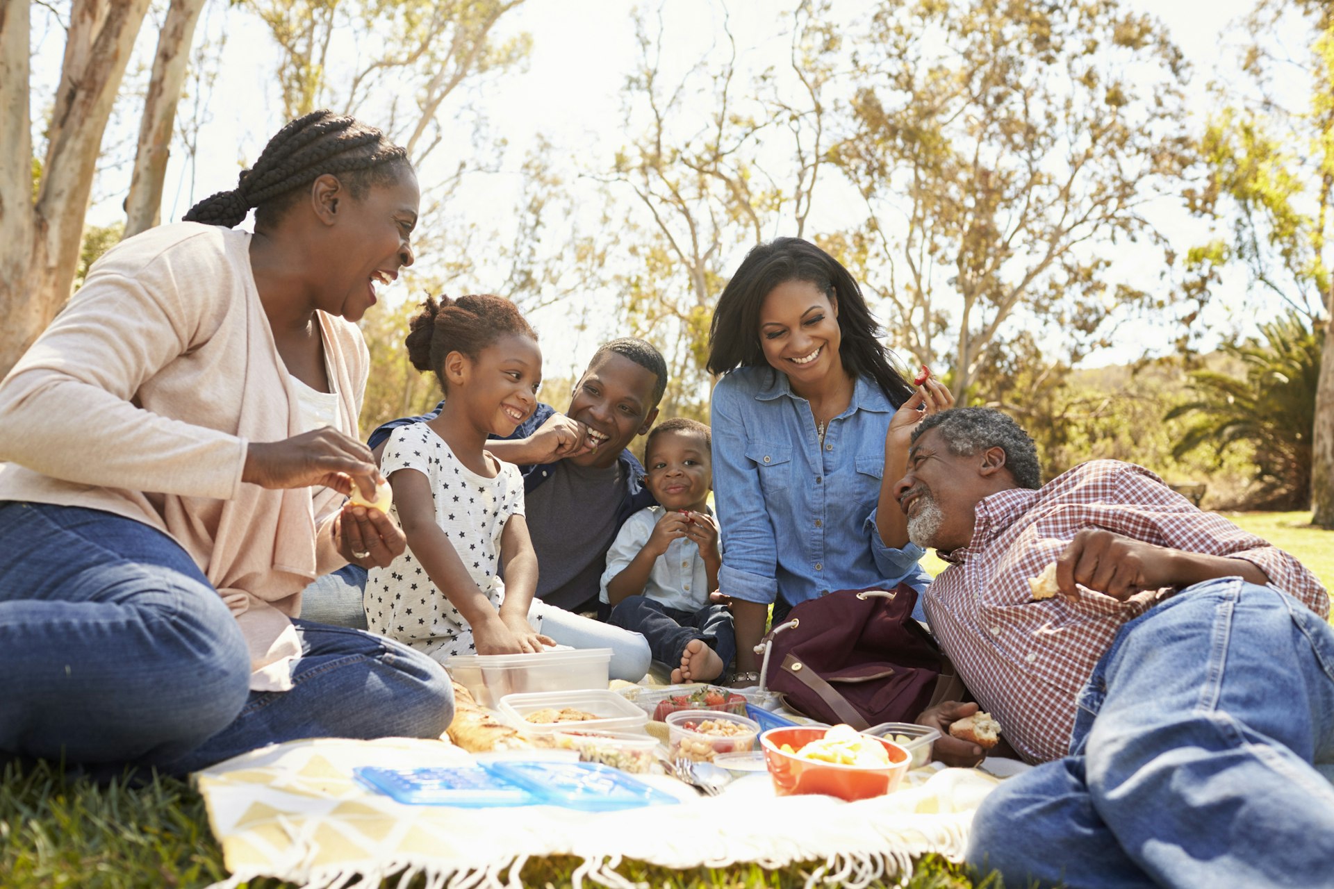 A multi generation black family enjoying a picnic in the park with the sun shining behind them