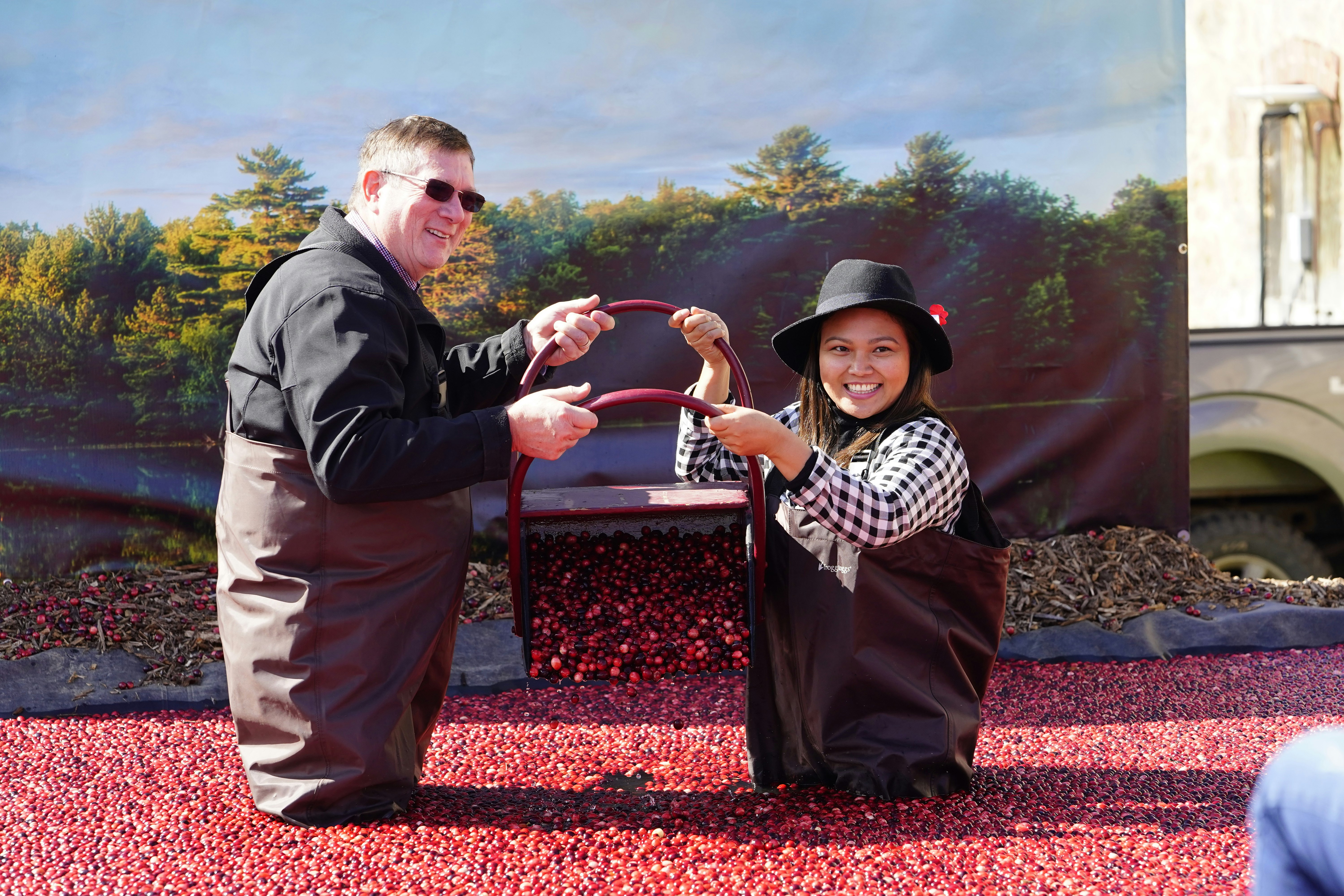 Couples at Warrens Cranberry festival enjoying their time getting photos taken while playing in a pool of cranberries, USA