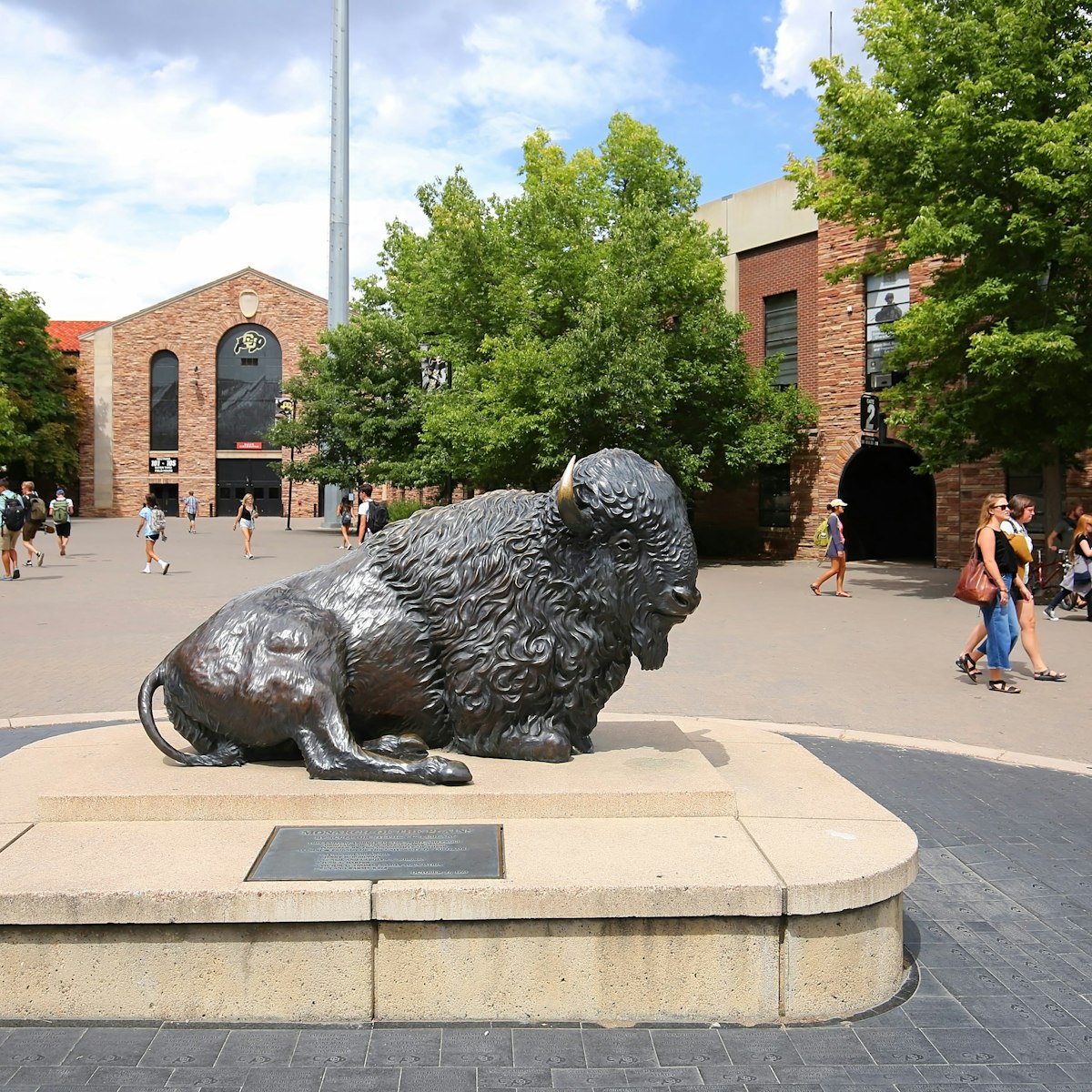 BOULDER, COLORADO, USA - AUGUST:  University of Colorado bison's mascot "Ralphie" located on the campus of the University of Colorado adjacent to Folsom Football Field as seen on August 31, 2018; Shutterstock ID 1174264429; your: Bridget Brown; gl: 65050; netsuite: Online Editorial; full: POI Image Update