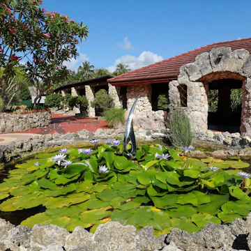 PINECREST, FLORIDA, USA: Water lily garden at Pinecrest Gardens a lush exotic botanical garden as seen on May 23, 2021.