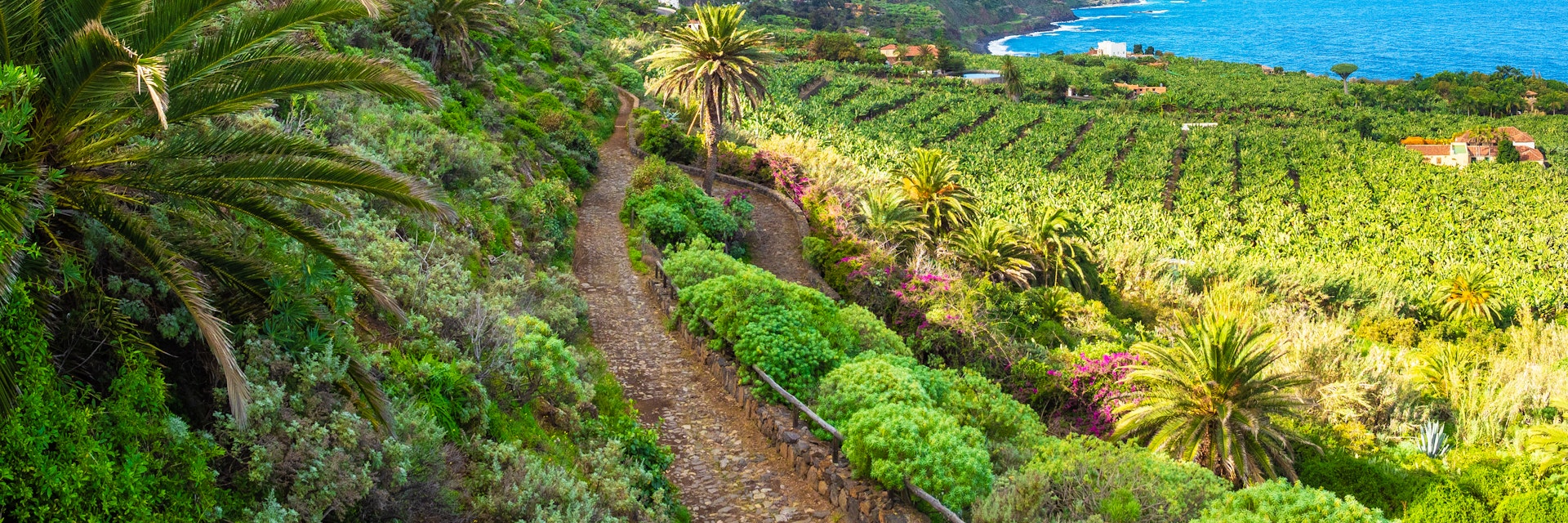 Landscape with North Tenerife coast on Canary island, Spain
