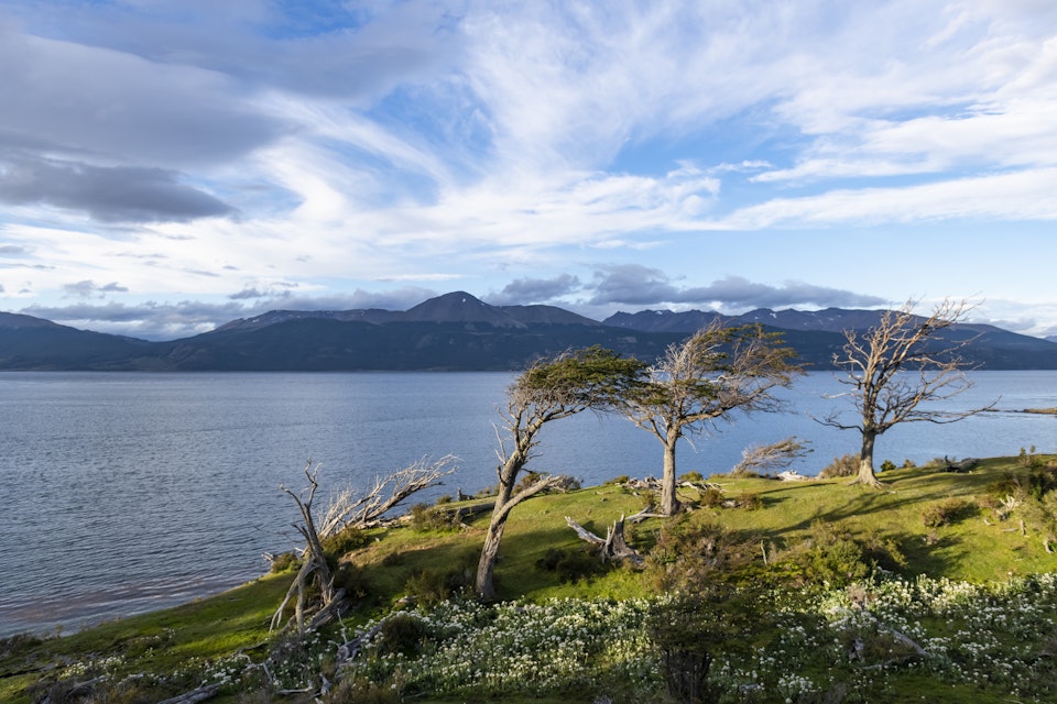Image of the coastline at the Beagle Channel in the southernmost city in the world, Puerto Williams - Chile