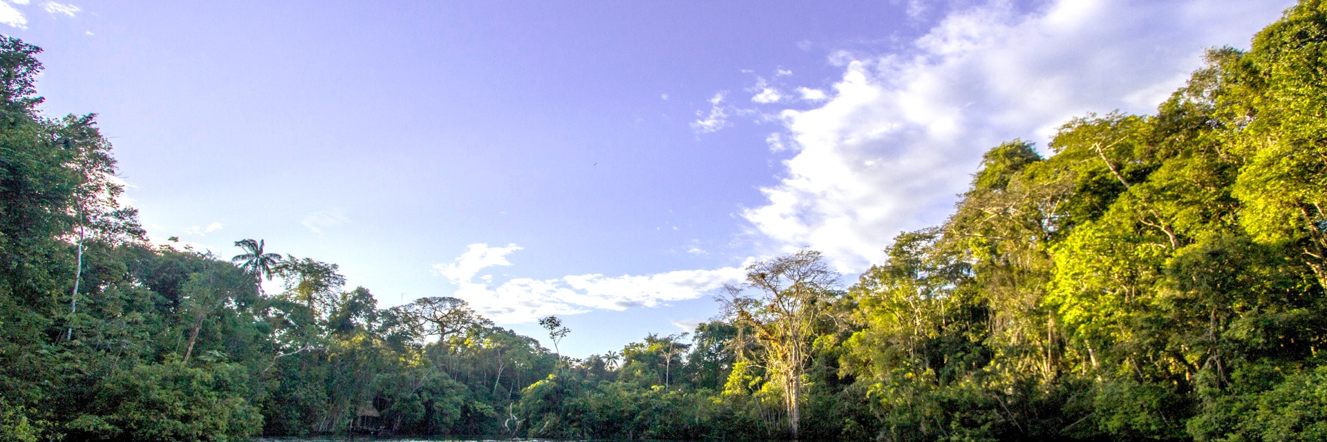 Cuyabeno, Ecuador, Aguarico, Amazon Rainforest