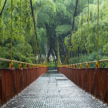Bridge inside tropical rainforest in Parque del Café, Quindio department, Armenia city, Colombia