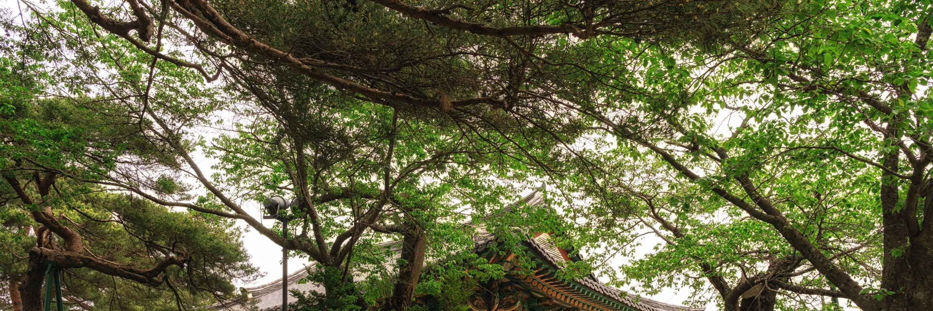 Traditional gyeongpo pagoda taken near the gyeongpo lake in gangneung, south korea. Taken during summer