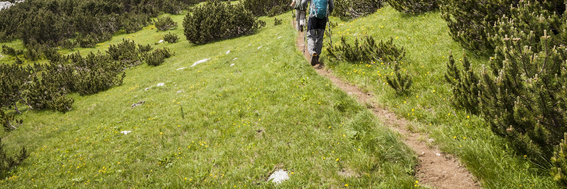 Two hikers in Sutjeska National Park, heading to the Maglic Massif, Bosnia and Herzegovina