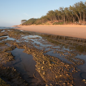 Early morning  scene on the beautiful beach at Sodwana Bay Nature Reserve in Northern Kwazulu Natal in South Africa.