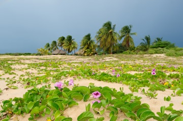 Beach of the Caribbean sea in Colombia in the vicinity of the Riohacha town