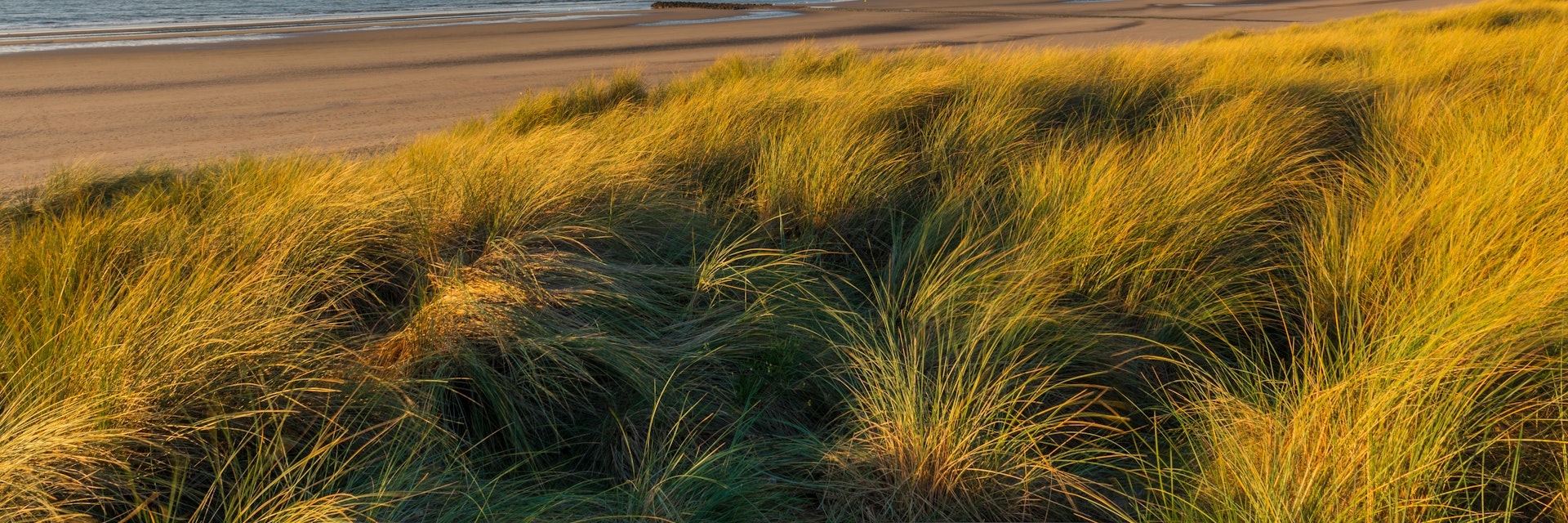 Long exposure photograph of sand dunes in the city of Ostend during sunset with a view over the North Sea, Belgium.