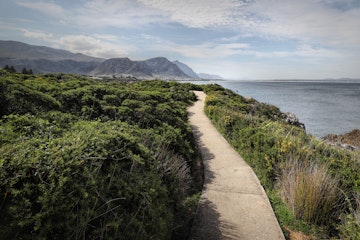 Beautiful ocean and rocky coast landscape in Hermanus, South Africa