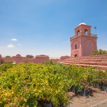 January 18, 2015: Tacama Vineyard, a producer of wine and pisco.