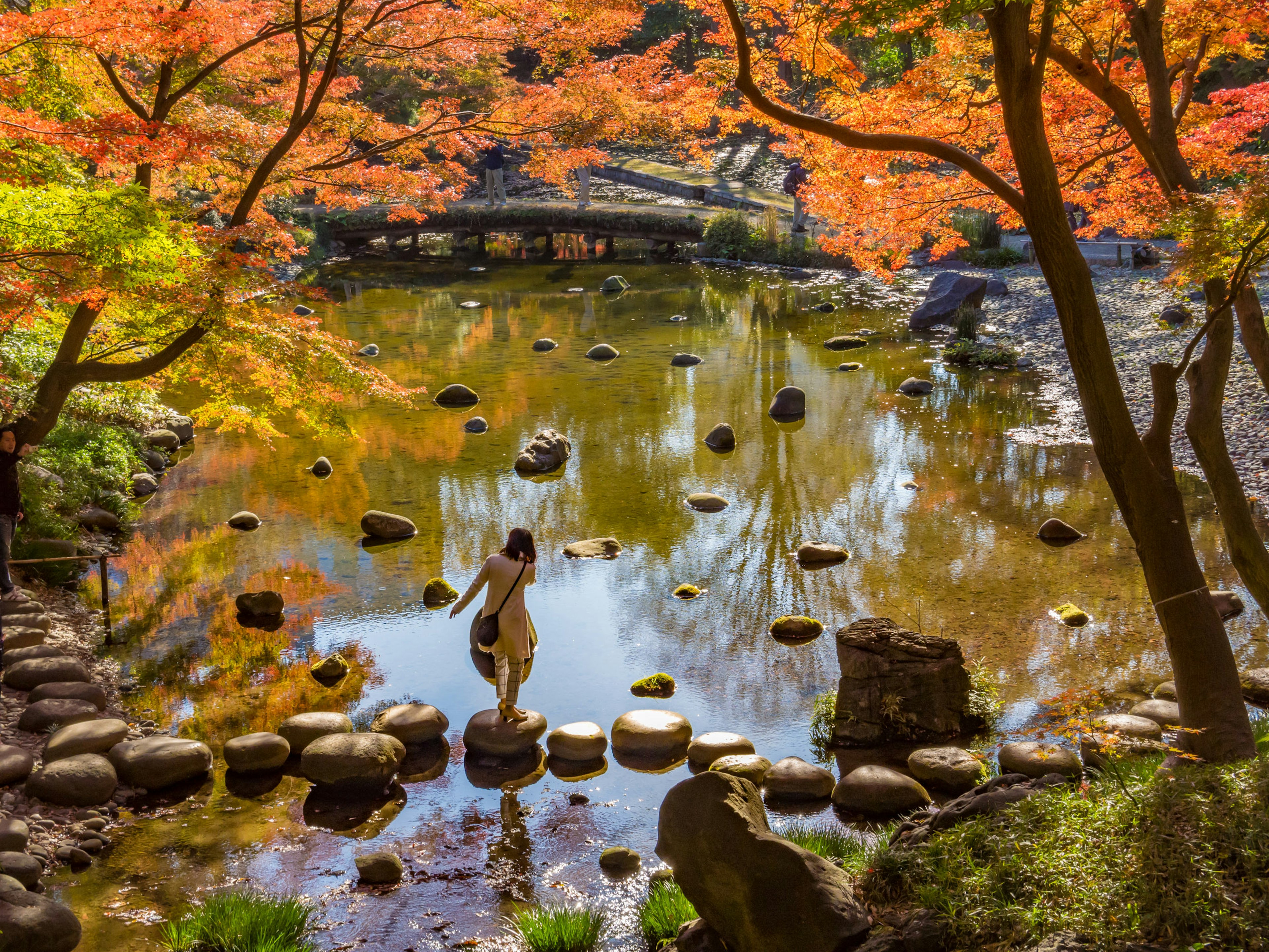 A solo figure crosses stepping stones in a pond surrounded by trees with autumn foliage of reds and golds.