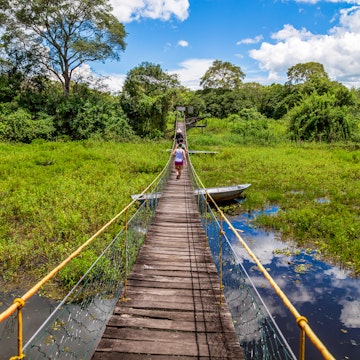 Pantanal in Brazil