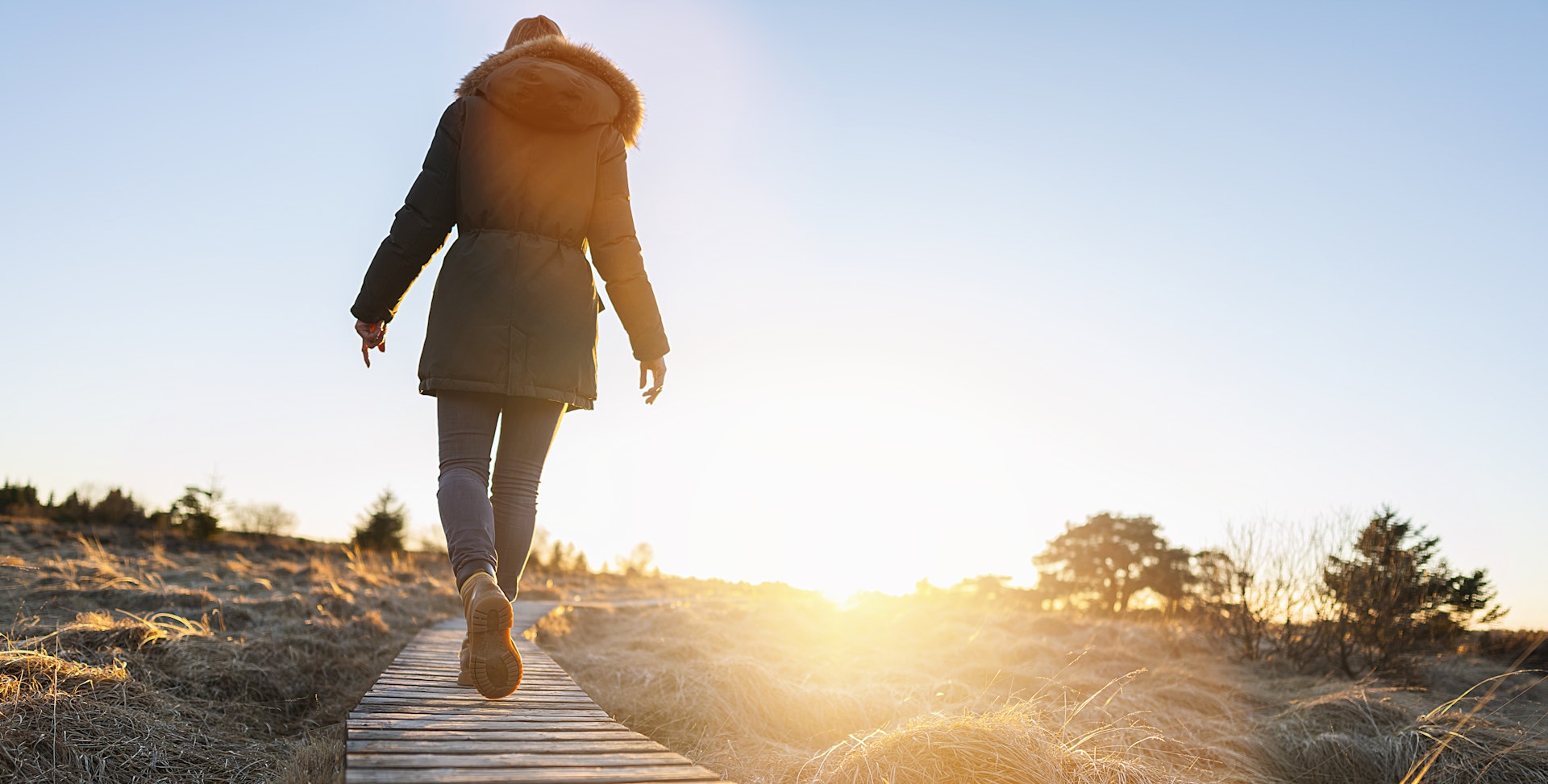 A person walks across a boardwalk through the moors and and bogs of High Fens in Belgium