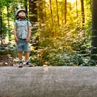 Little toddler standing on a big large elm trunk in a forest in Belgium. Child wearing safety helmet exploring the nature. Sunset in a park.

Hoge Kempen is rich in biodiversity with more than 7000 plant and animal species across 12,000 hectares 