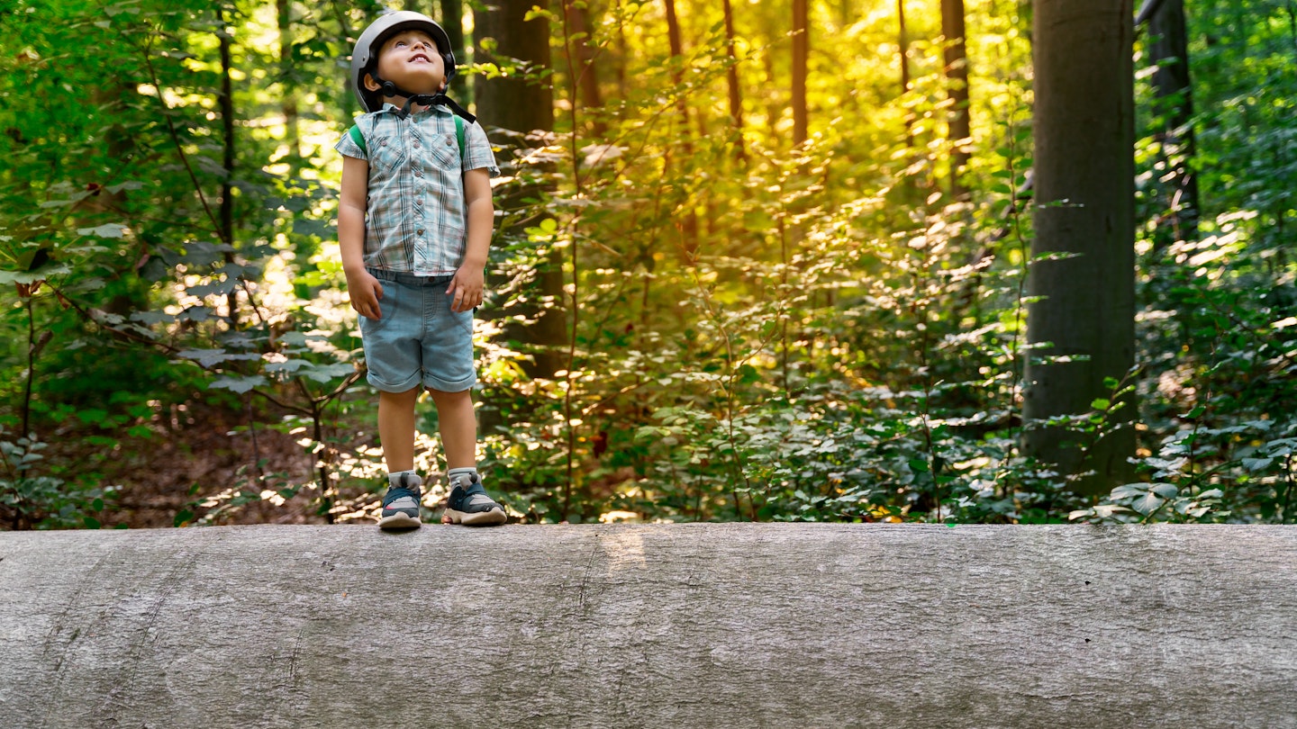 Little toddler standing on a big large elm trunk in a forest in Belgium. Child wearing safety helmet exploring the nature. Sunset in a park.
Hoge Kempen is rich in biodiversity with more than 7000 plant and animal species across 12,000 hectares