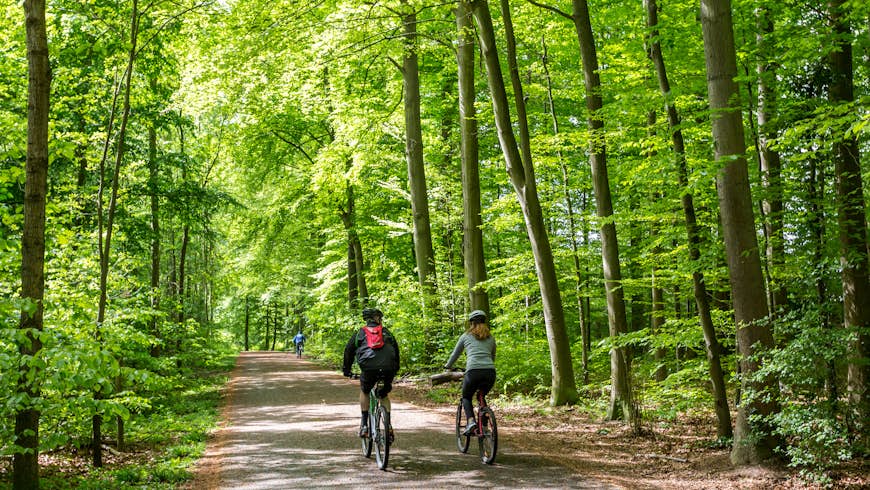 A couple cycling in the Sonian Forest near Brussels