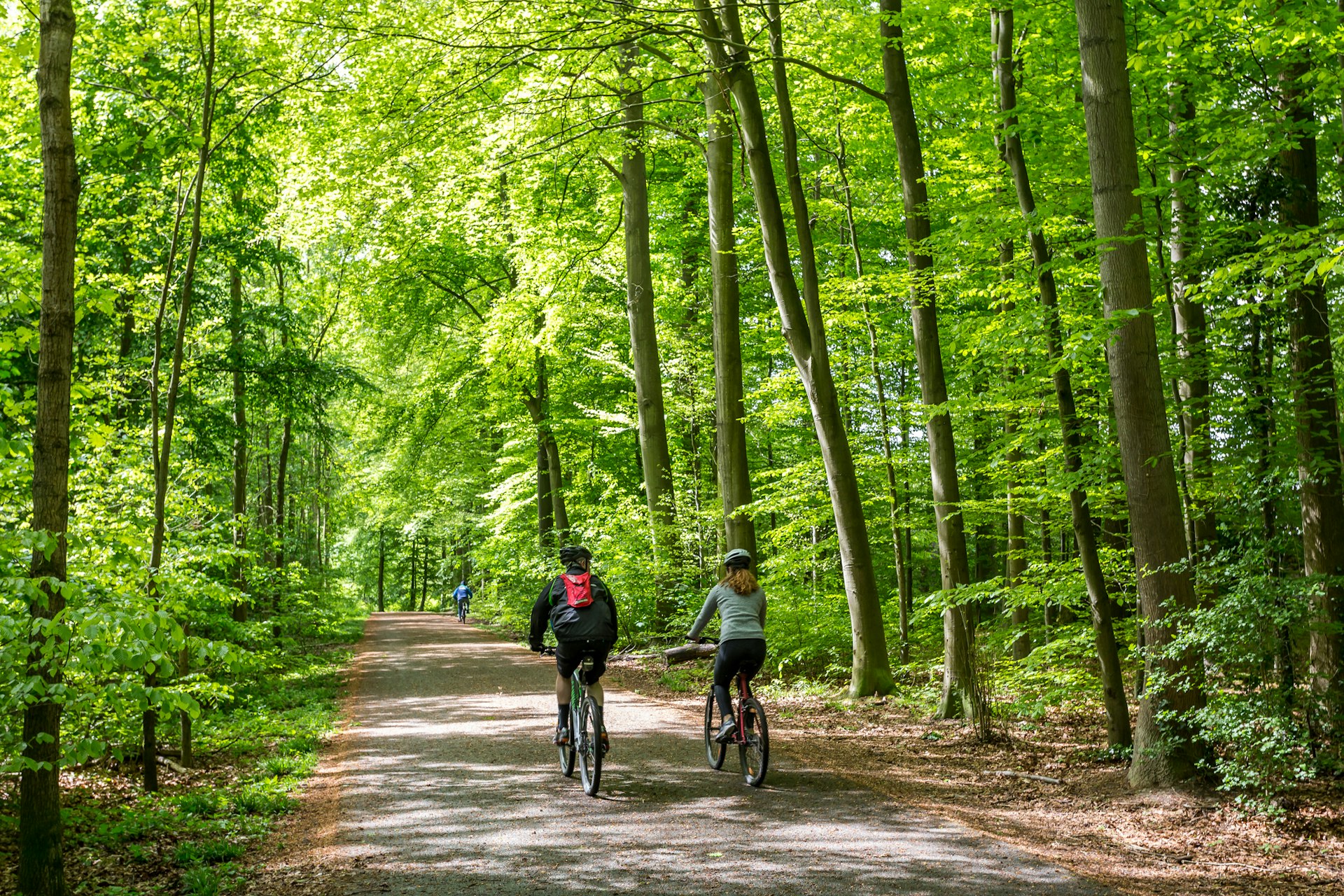 Two people cycling through a forest in Belgium in springtime