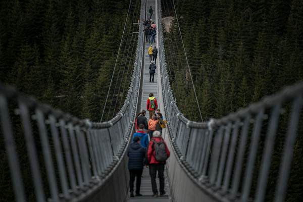 Test your fears on the world's longest footbridge - Vimarsana News