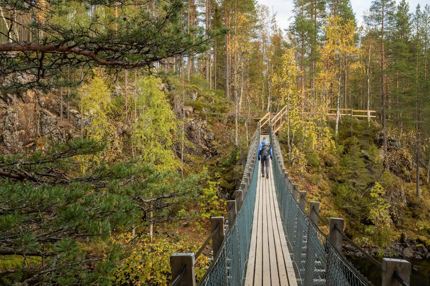 A male hiker walks on a suspension bridge over a rapid river in fall in Oulanka National Park, Finland, Europe