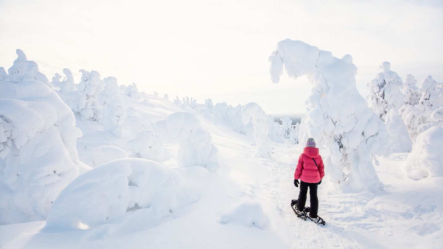 Cute pre-teen girl hiking in snowshoes in winter forest among snow covered trees in Lapland Finland; Shutterstock ID 2047694054; your: Brian Healy; gl: 65050; netsuite: Lonely Planet Online Editorial; full: Best hikes in Finland
