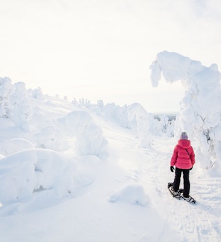 Cute pre-teen girl hiking in snowshoes in winter forest among snow covered trees in Lapland Finland; Shutterstock ID 2047694054; your: Brian Healy; gl: 65050; netsuite: Lonely Planet Online Editorial; full: Best hikes in Finland