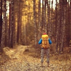 A man trekking in the forest in Finland in autumn