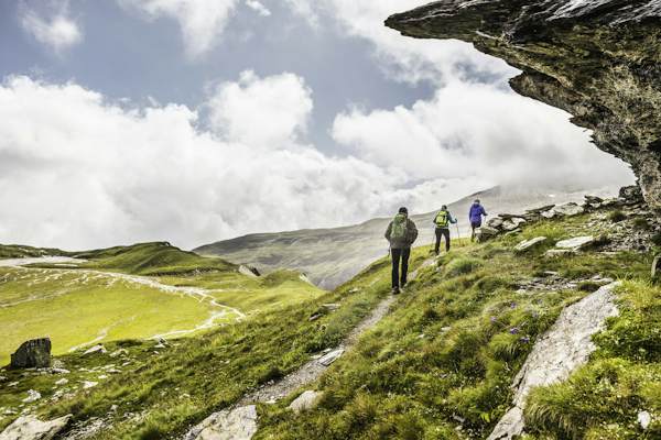 Your guide to ViaBerna: Switzerland's newest hike - Vimarsana News