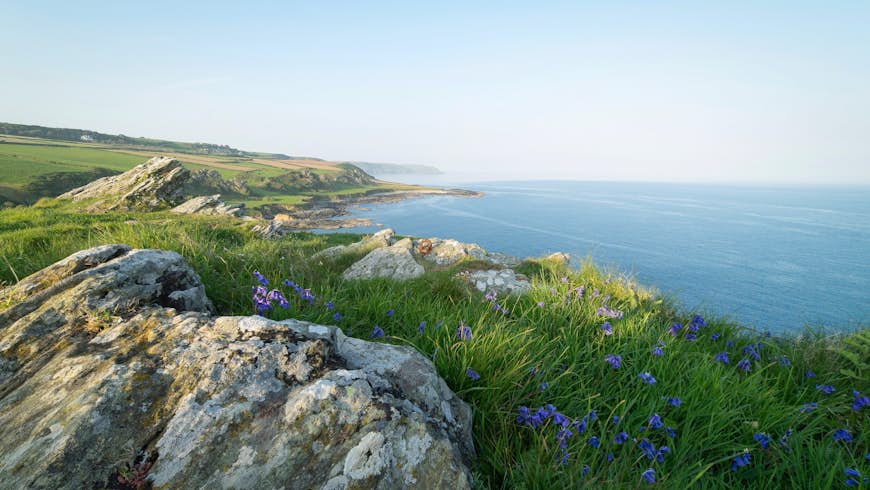 The natural beauty of the South West Coast Path in South Devon, East Prawle