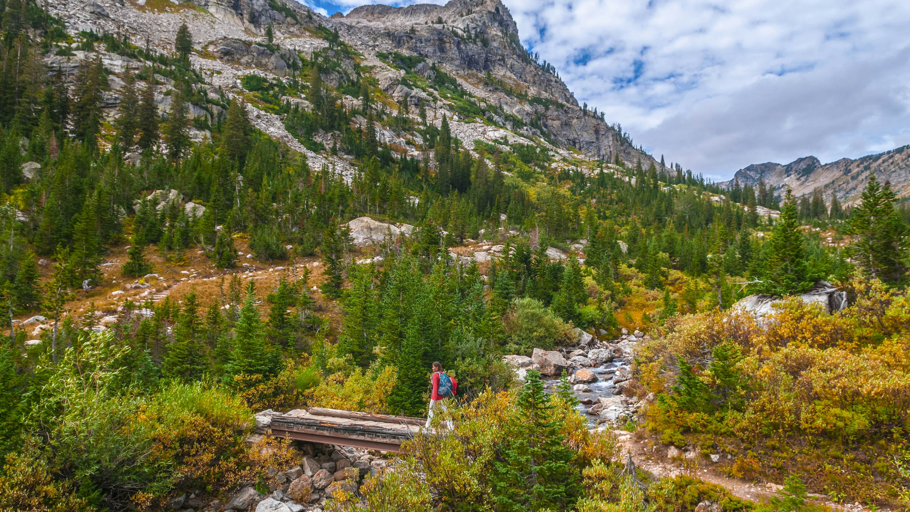 15 unforgettable experiences in US national parks - Lonely Planet