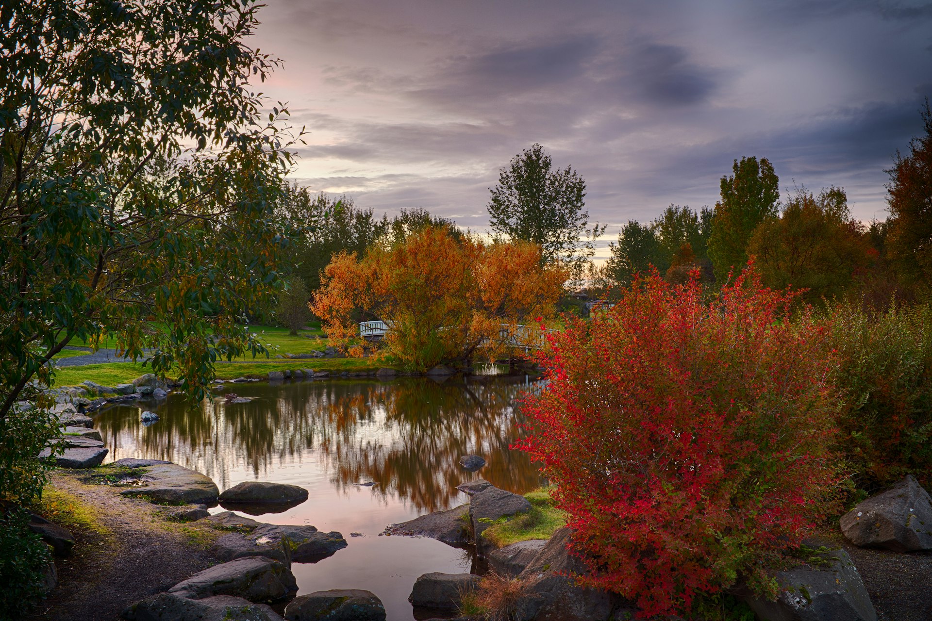 An autumnal shot of the botanical gardens in Laugardalur, featuring a glassy pond and color-changing trees