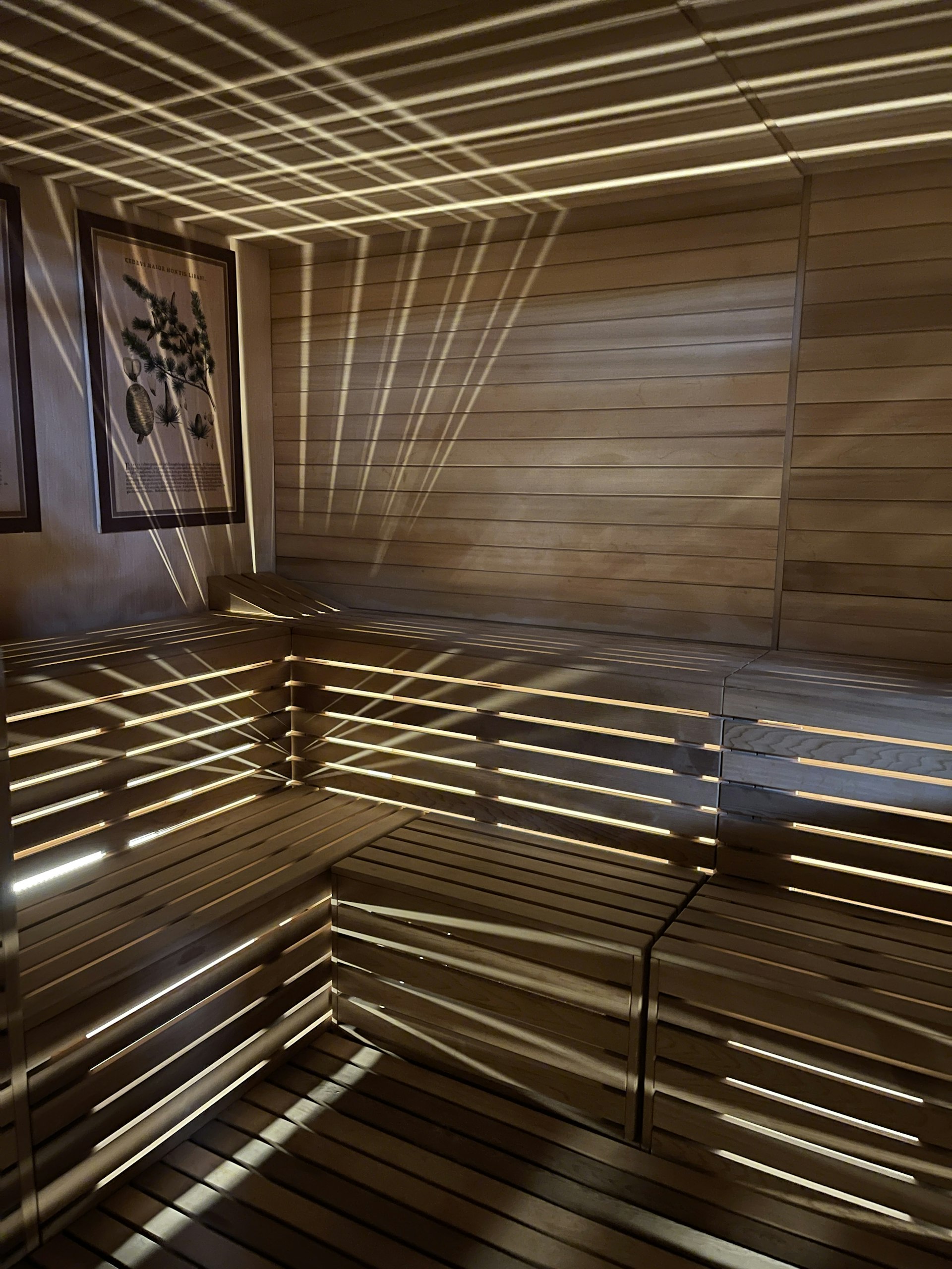 Inside a sauna at QC NY