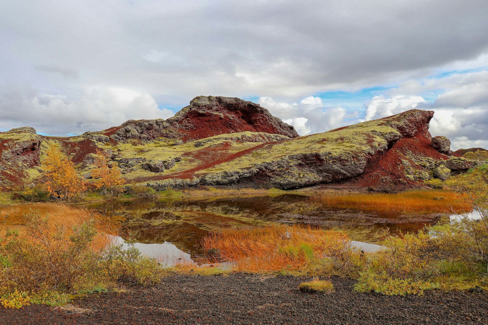 Beautiful autumn colors at Heiðmörk, Iceland